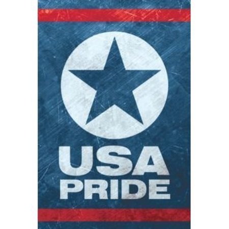 ACCUFORM HARD HAT STICKERS USA PRIDE 2 LHTL097 LHTL097